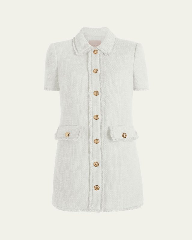 Pammy Button-Front Tweed Mini Dress
